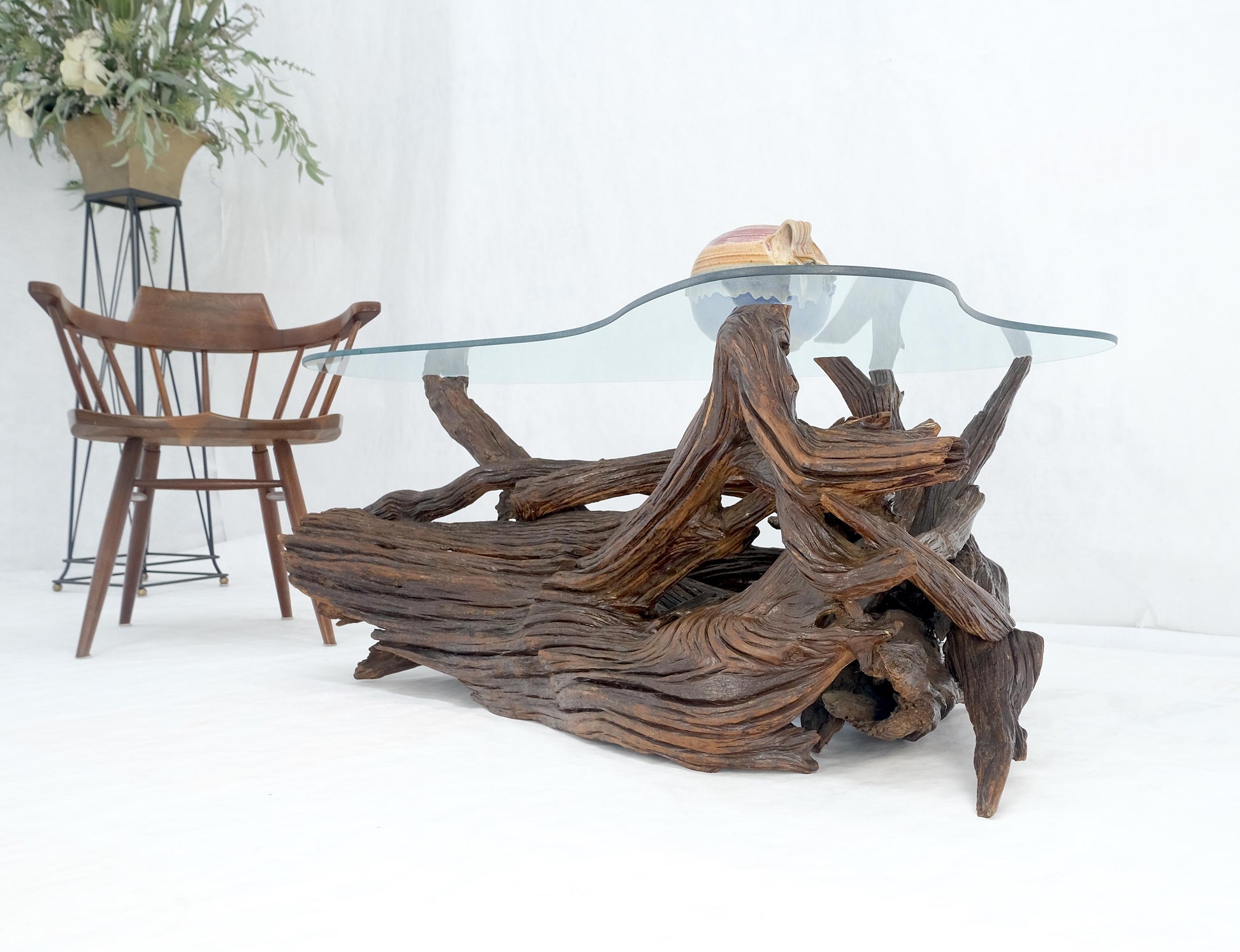 EstablishedLines Amoeba Glass Top Organic Drift Wood Base Coffee Center Table MINT!