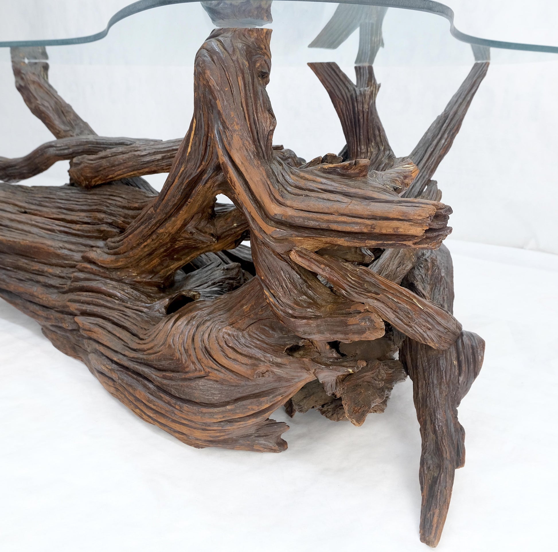 EstablishedLines Amoeba Glass Top Organic Drift Wood Base Coffee Center Table MINT!