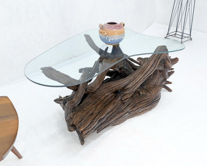 EstablishedLines Amoeba Glass Top Organic Drift Wood Base Coffee Center Table MINT!