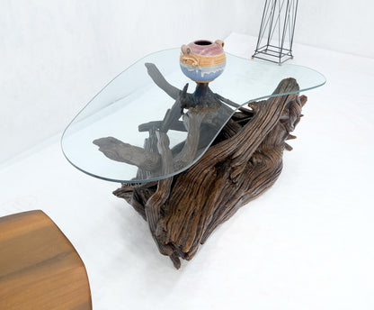 EstablishedLines Amoeba Glass Top Organic Drift Wood Base Coffee Center Table MINT!