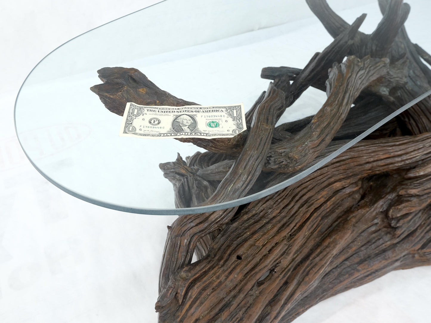 EstablishedLines Amoeba Glass Top Organic Drift Wood Base Coffee Center Table MINT!