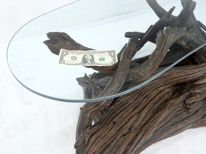 EstablishedLines Amoeba Glass Top Organic Drift Wood Base Coffee Center Table MINT!