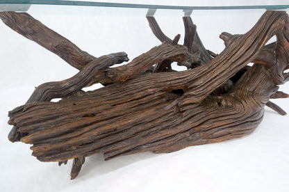 EstablishedLines Amoeba Glass Top Organic Drift Wood Base Coffee Center Table MINT!