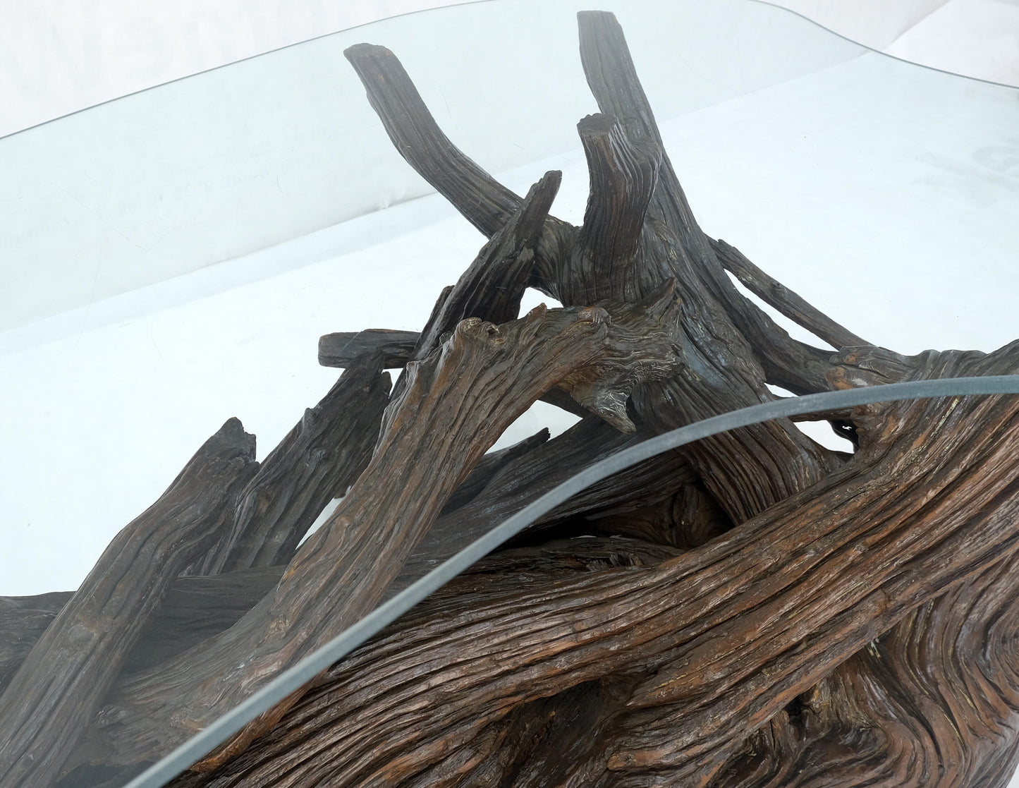 EstablishedLines Amoeba Glass Top Organic Drift Wood Base Coffee Center Table MINT!