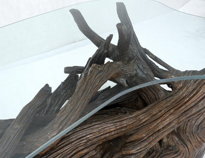 EstablishedLines Amoeba Glass Top Organic Drift Wood Base Coffee Center Table MINT!