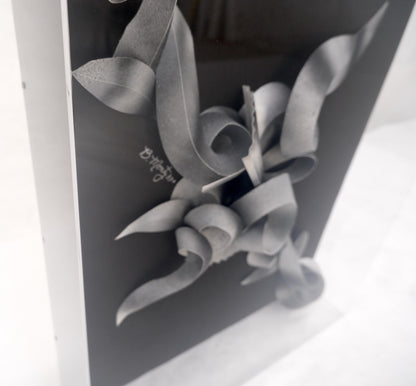 EstablishedLines Showcased 3D Abstract Signed Greg Copeland Paper Sculpture Rectangular Wall Art