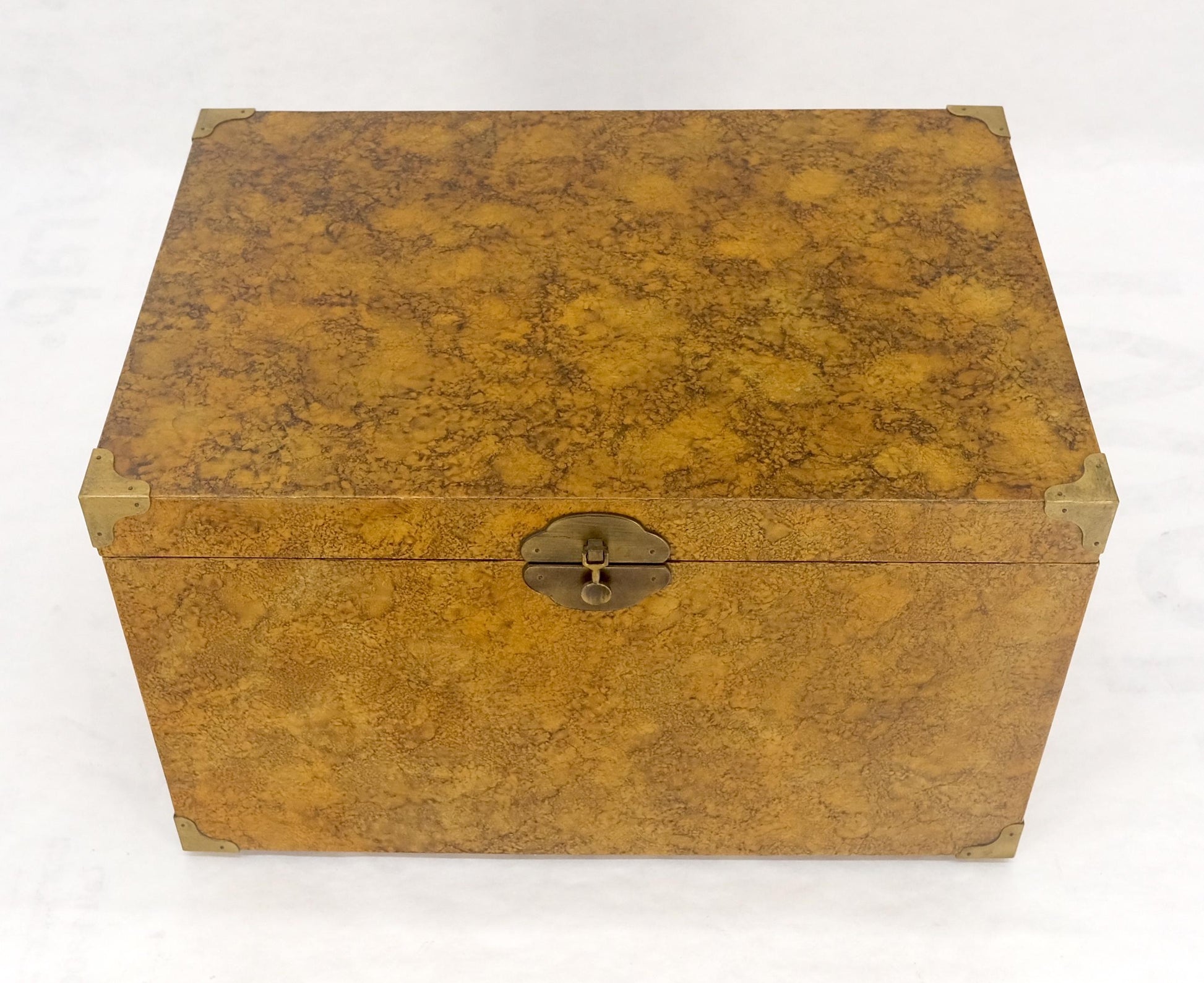 EstablishedLines Faux Tortoise Finish Hand Painted Decorated Campaign Style Trunk Box MINT