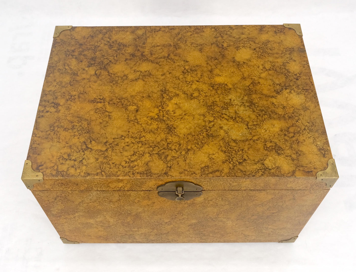 EstablishedLines Faux Tortoise Finish Hand Painted Decorated Campaign Style Trunk Box MINT
