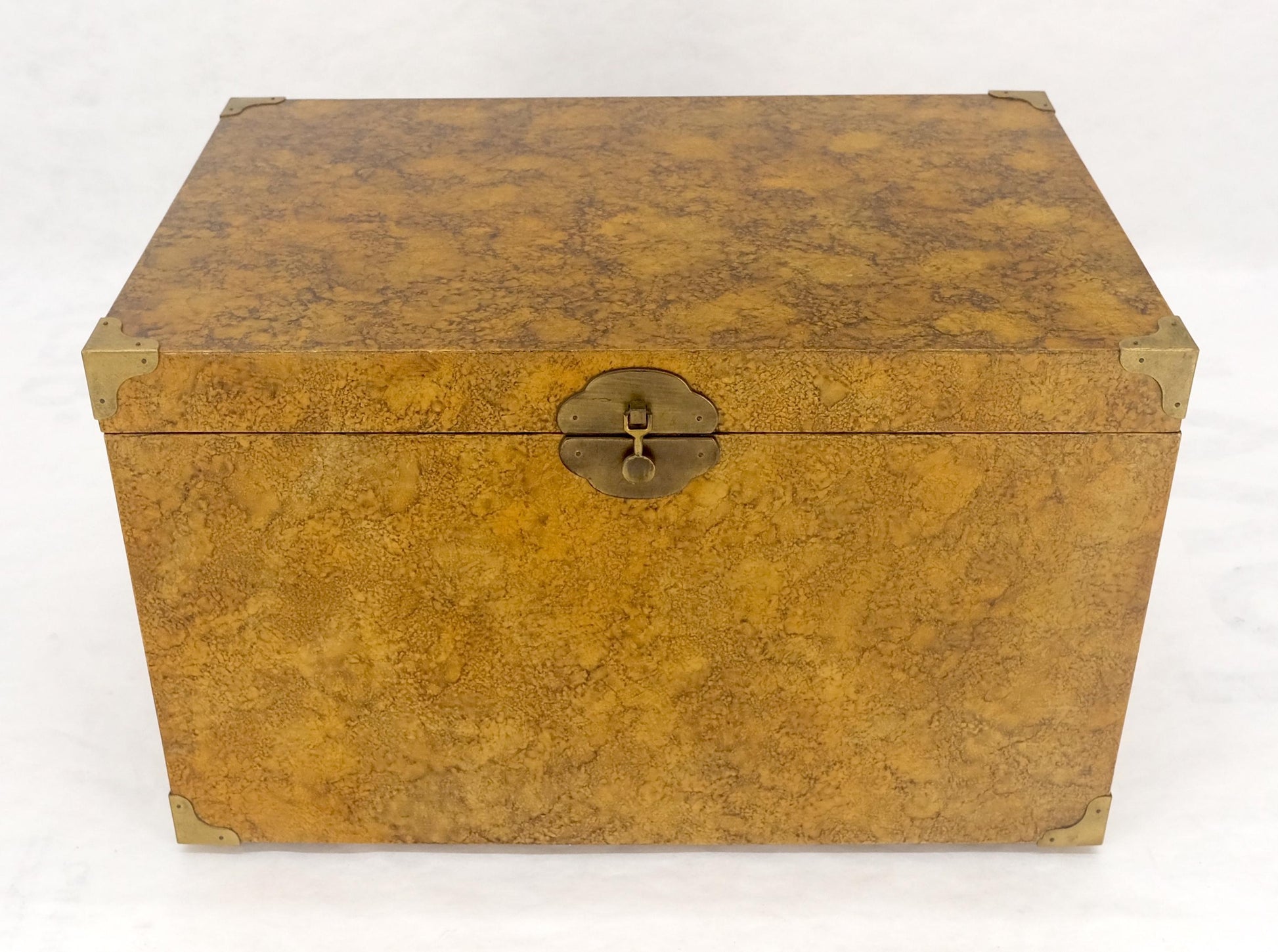 EstablishedLines Faux Tortoise Finish Hand Painted Decorated Campaign Style Trunk Box MINT