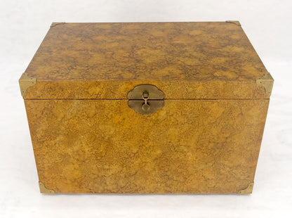 EstablishedLines Faux Tortoise Finish Hand Painted Decorated Campaign Style Trunk Box MINT