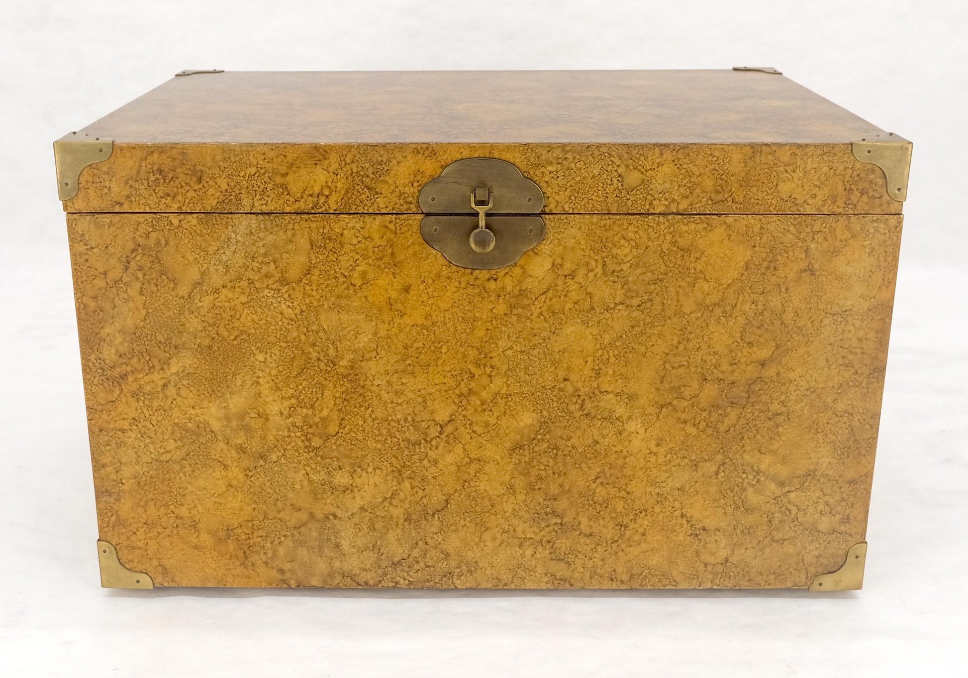 EstablishedLines Faux Tortoise Finish Hand Painted Decorated Campaign Style Trunk Box MINT