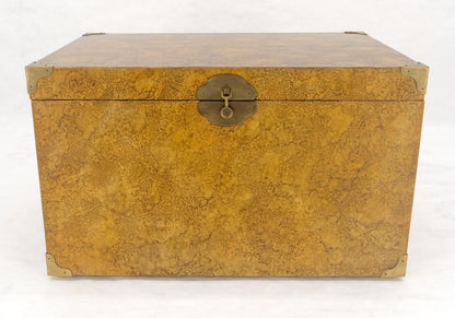 EstablishedLines Faux Tortoise Finish Hand Painted Decorated Campaign Style Trunk Box MINT