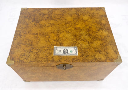 EstablishedLines Faux Tortoise Finish Hand Painted Decorated Campaign Style Trunk Box MINT