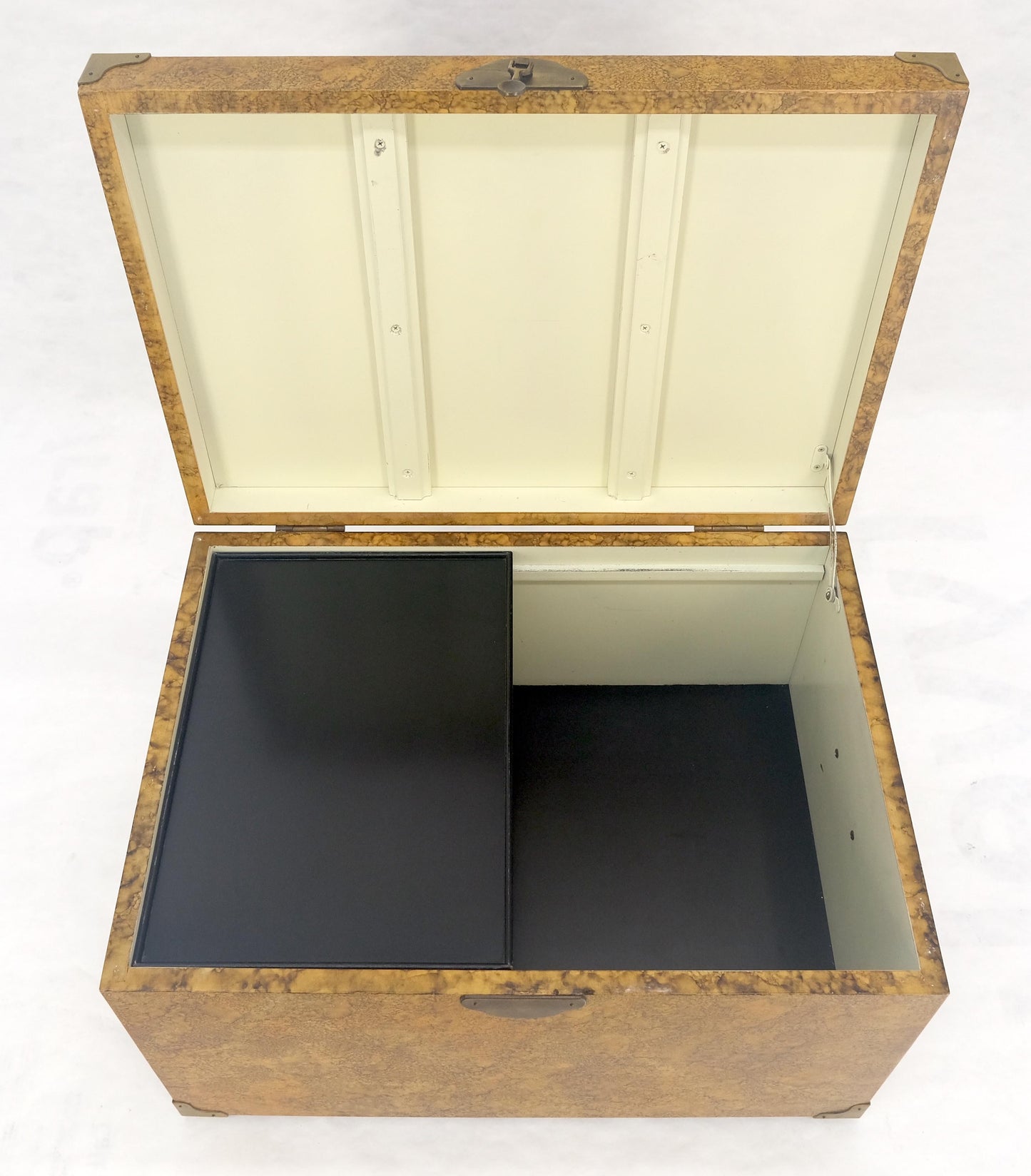 EstablishedLines Faux Tortoise Finish Hand Painted Decorated Campaign Style Trunk Box MINT