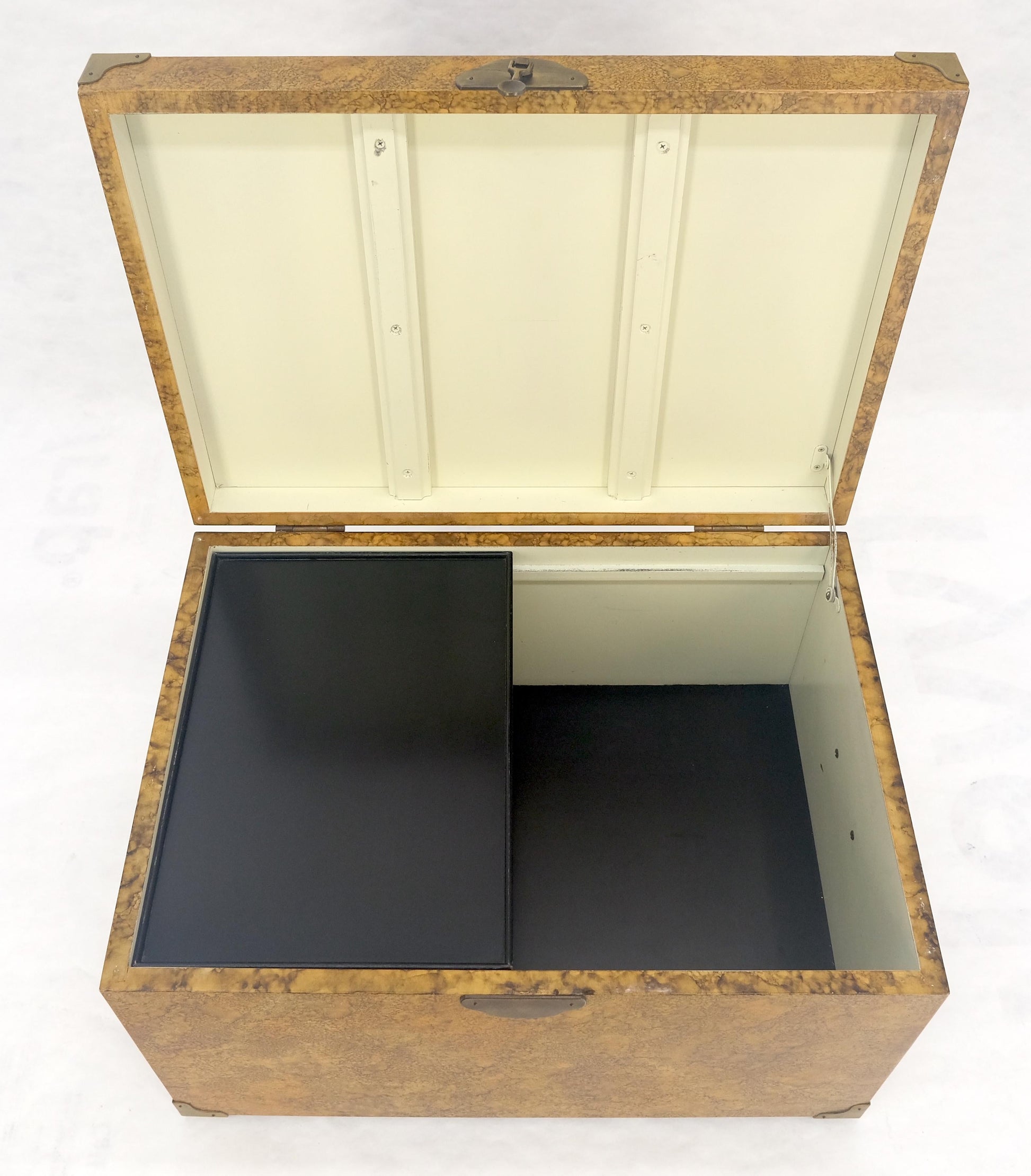 EstablishedLines Faux Tortoise Finish Hand Painted Decorated Campaign Style Trunk Box MINT