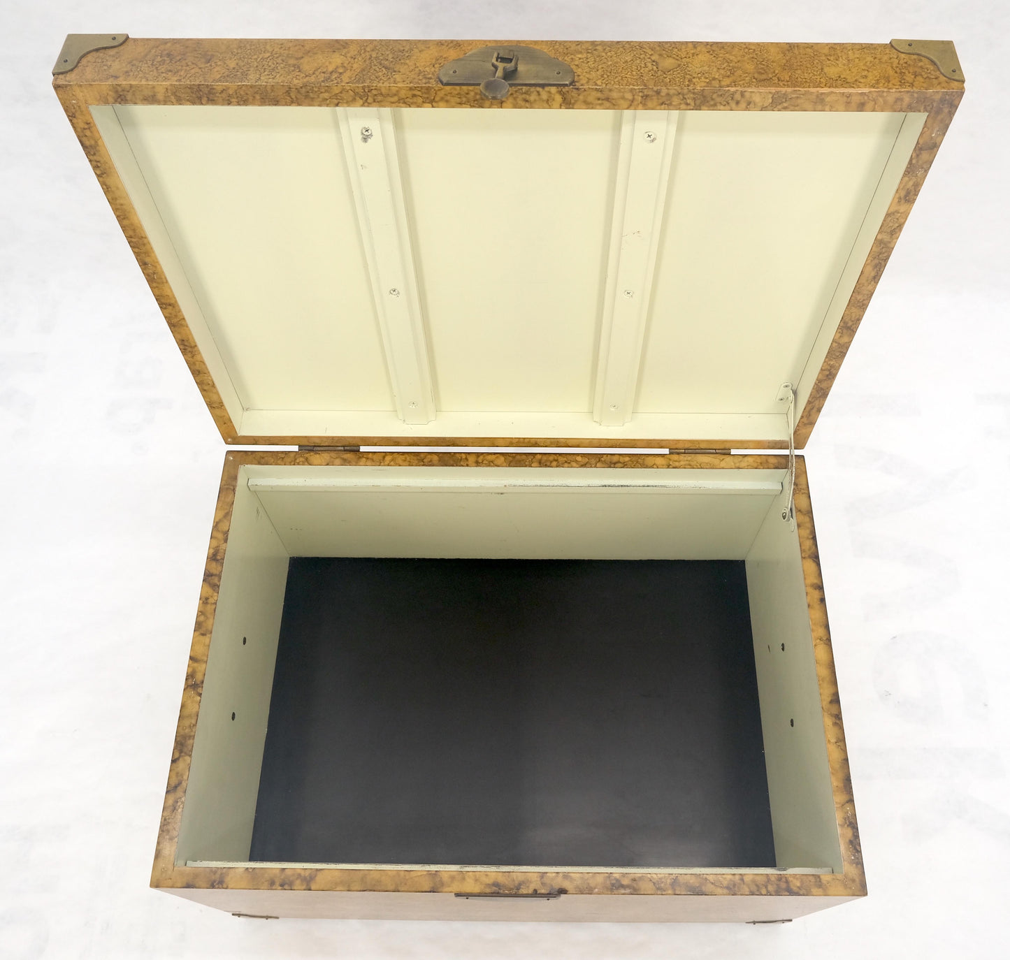 EstablishedLines Faux Tortoise Finish Hand Painted Decorated Campaign Style Trunk Box MINT