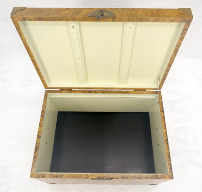 EstablishedLines Faux Tortoise Finish Hand Painted Decorated Campaign Style Trunk Box MINT