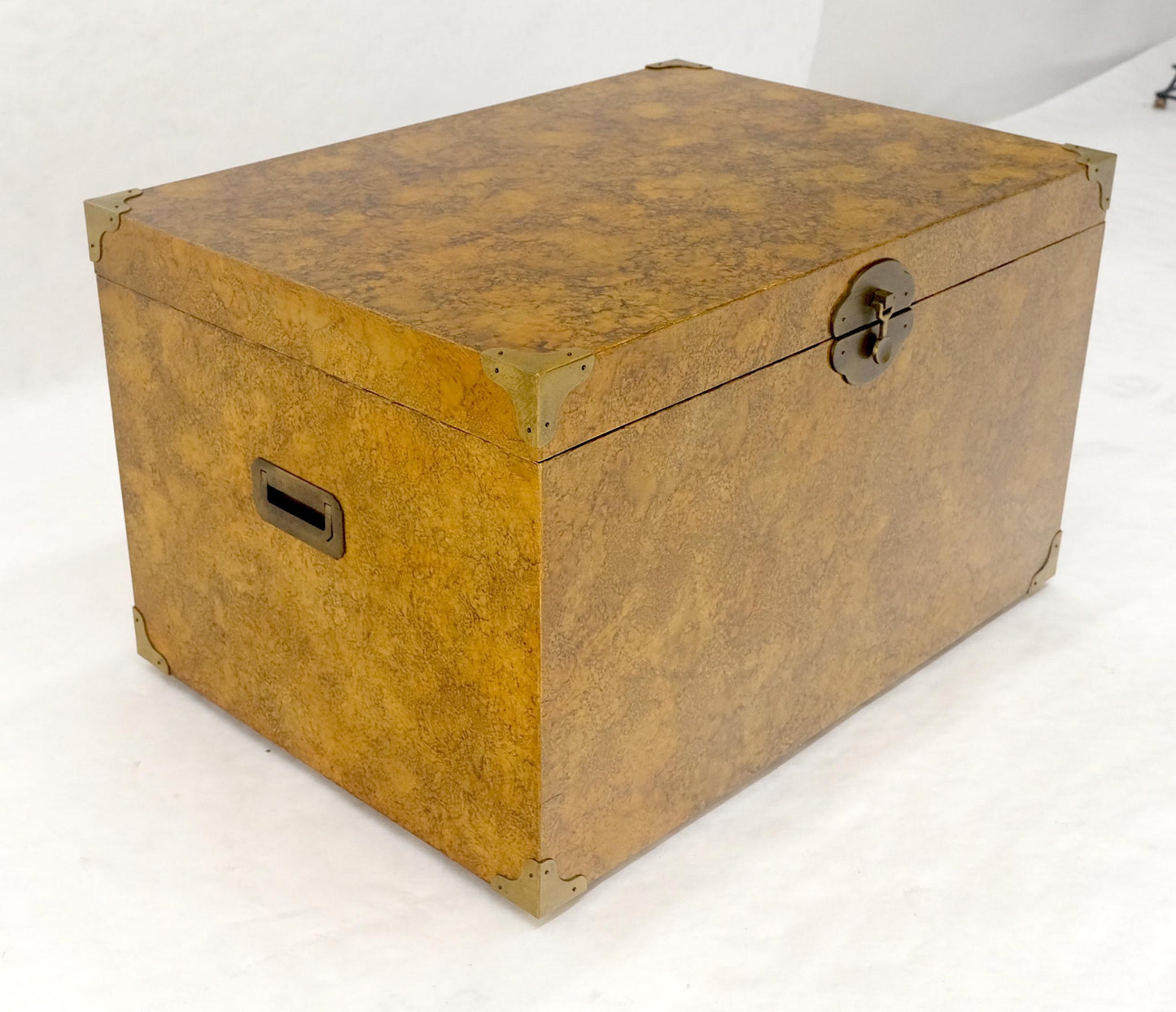 EstablishedLines Faux Tortoise Finish Hand Painted Decorated Campaign Style Trunk Box MINT