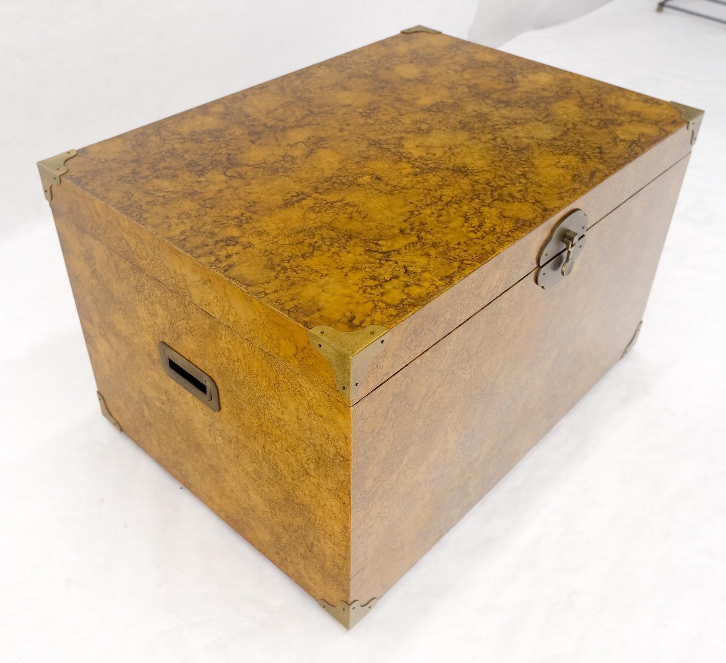 EstablishedLines Faux Tortoise Finish Hand Painted Decorated Campaign Style Trunk Box MINT