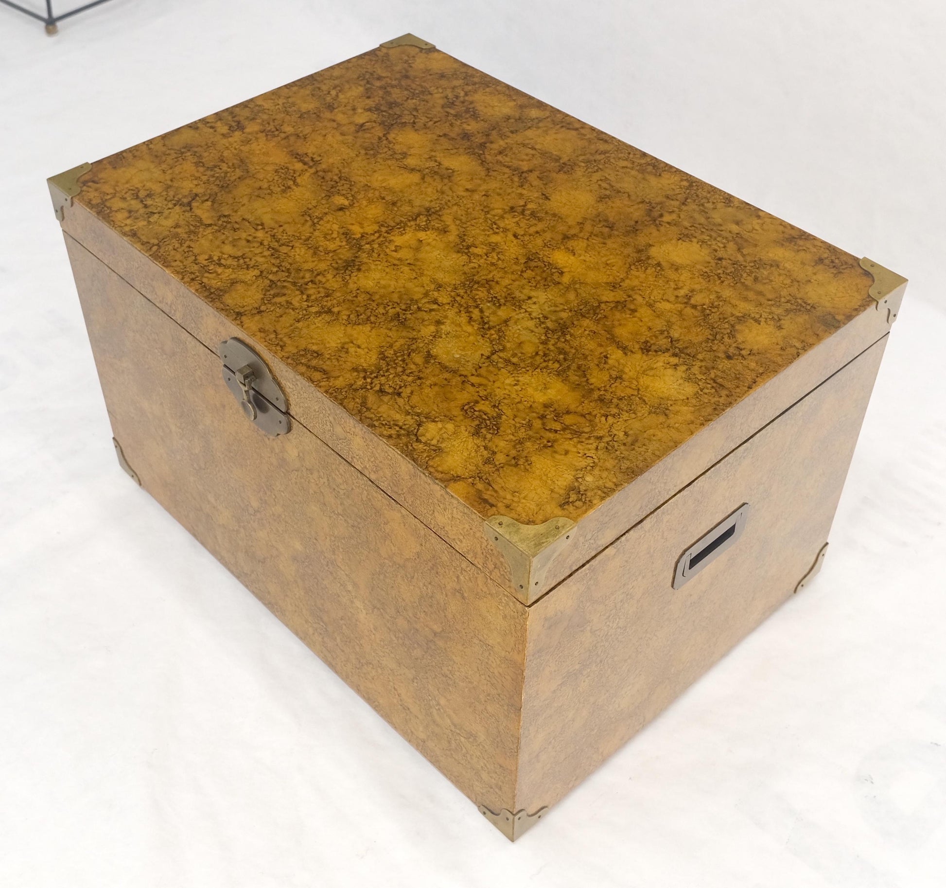 EstablishedLines Faux Tortoise Finish Hand Painted Decorated Campaign Style Trunk Box MINT