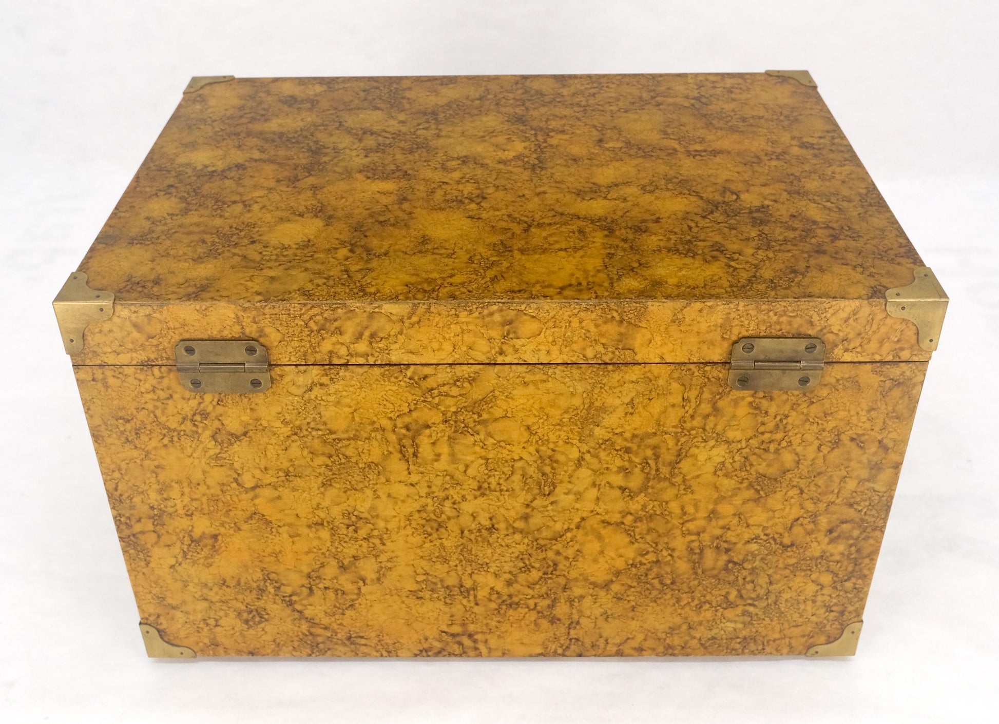 EstablishedLines Faux Tortoise Finish Hand Painted Decorated Campaign Style Trunk Box MINT