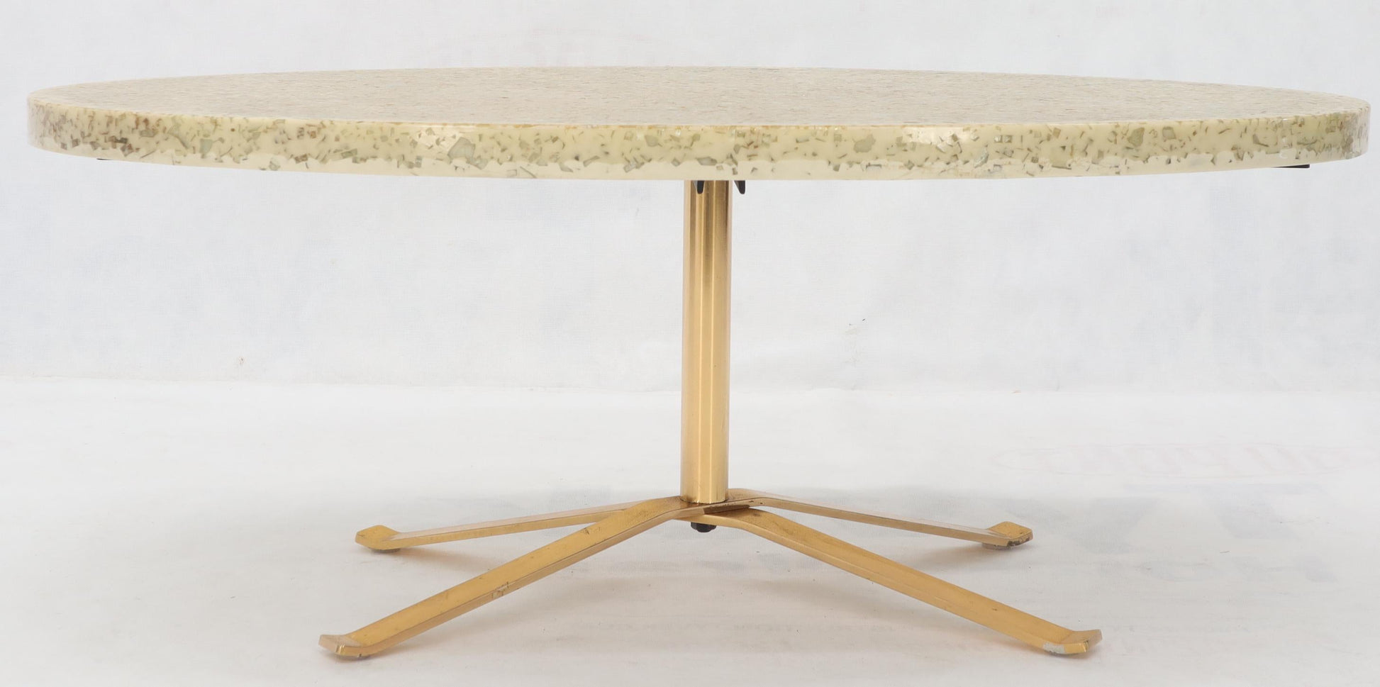 EstablishedLines Abalone Shell Cast in Resin Oval Top Coffee Table on X-Shape Base