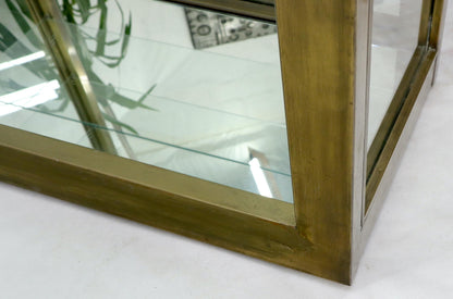 EstablishedLines Tall Narrow Brass Finish Adjustable Glass Shelves Unit Bookcase Storage Etagere