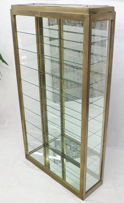 EstablishedLines Tall Narrow Brass Finish Adjustable Glass Shelves Unit Bookcase Storage Etagere