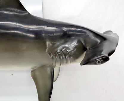 EstablishedLines Large Long Wall Hanging Sculpture of Hammerhead Shark Fish with Real Jaw Teeth