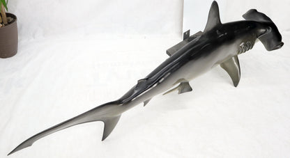 EstablishedLines Large Long Wall Hanging Sculpture of Hammerhead Shark Fish with Real Jaw Teeth