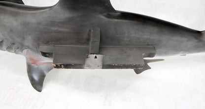 EstablishedLines Large Long Wall Hanging Sculpture of Hammerhead Shark Fish with Real Jaw Teeth