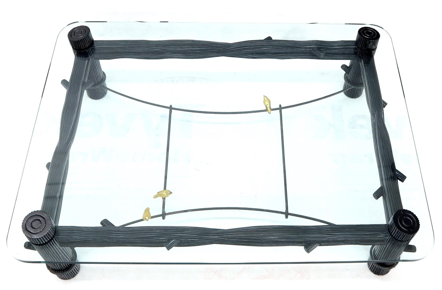 EstablishedLines Large Oversize Thick Glass Top Rectangle Coffee Table with Singing Birds