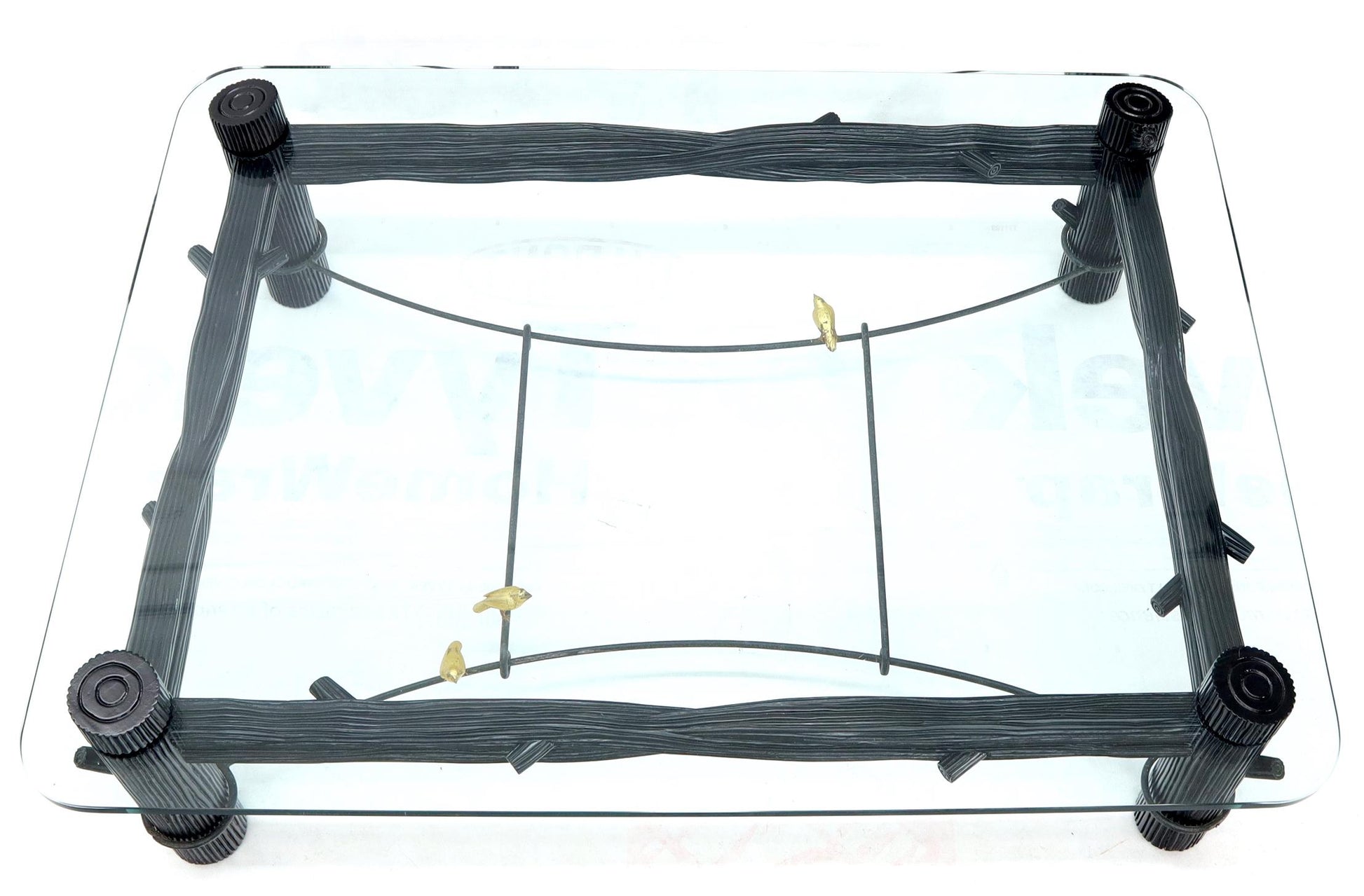 EstablishedLines Large Oversize Thick Glass Top Rectangle Coffee Table with Singing Birds
