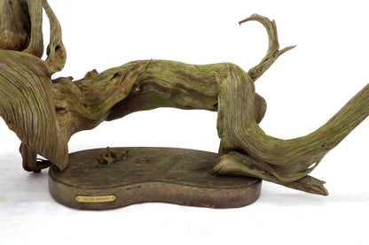 Large Natural Wood Fish Shape Driftwood Sculpture Artist Signed