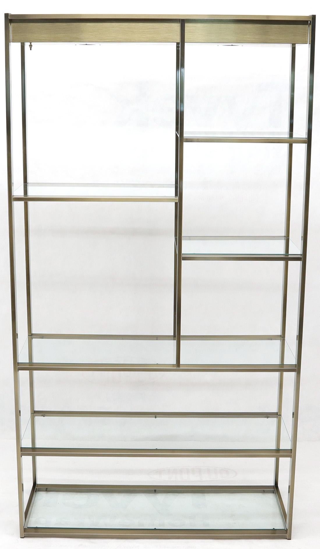 EstablishedLines Brass and Glass Lighted Étagère Vitrine