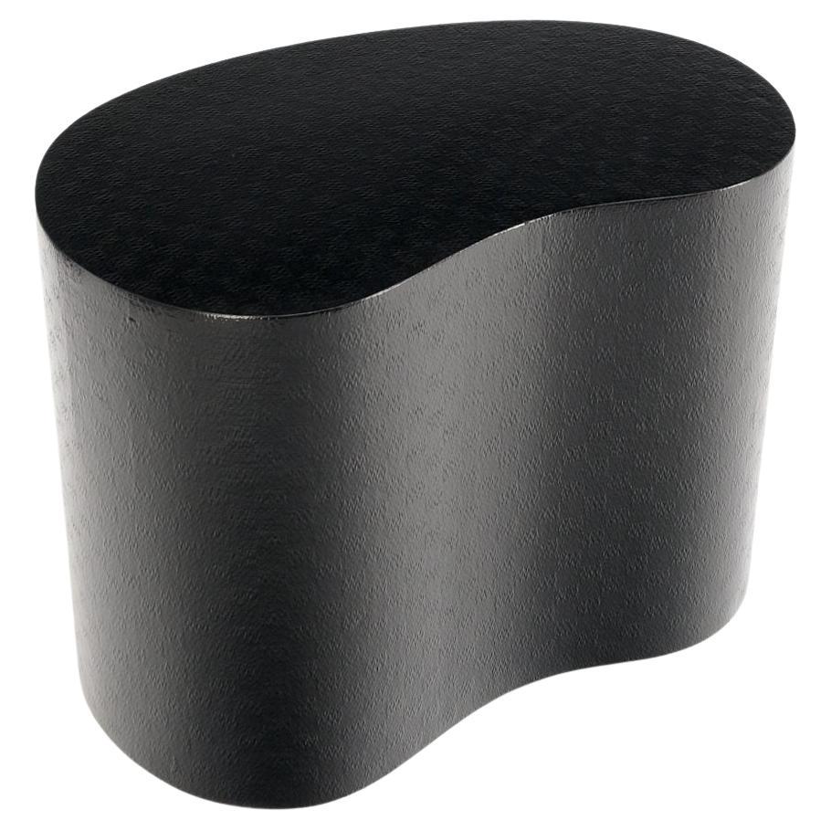EstablishedLines Kidney Shape Black Lacquer Raffia Cloth Wrapped Side End Coffee Table