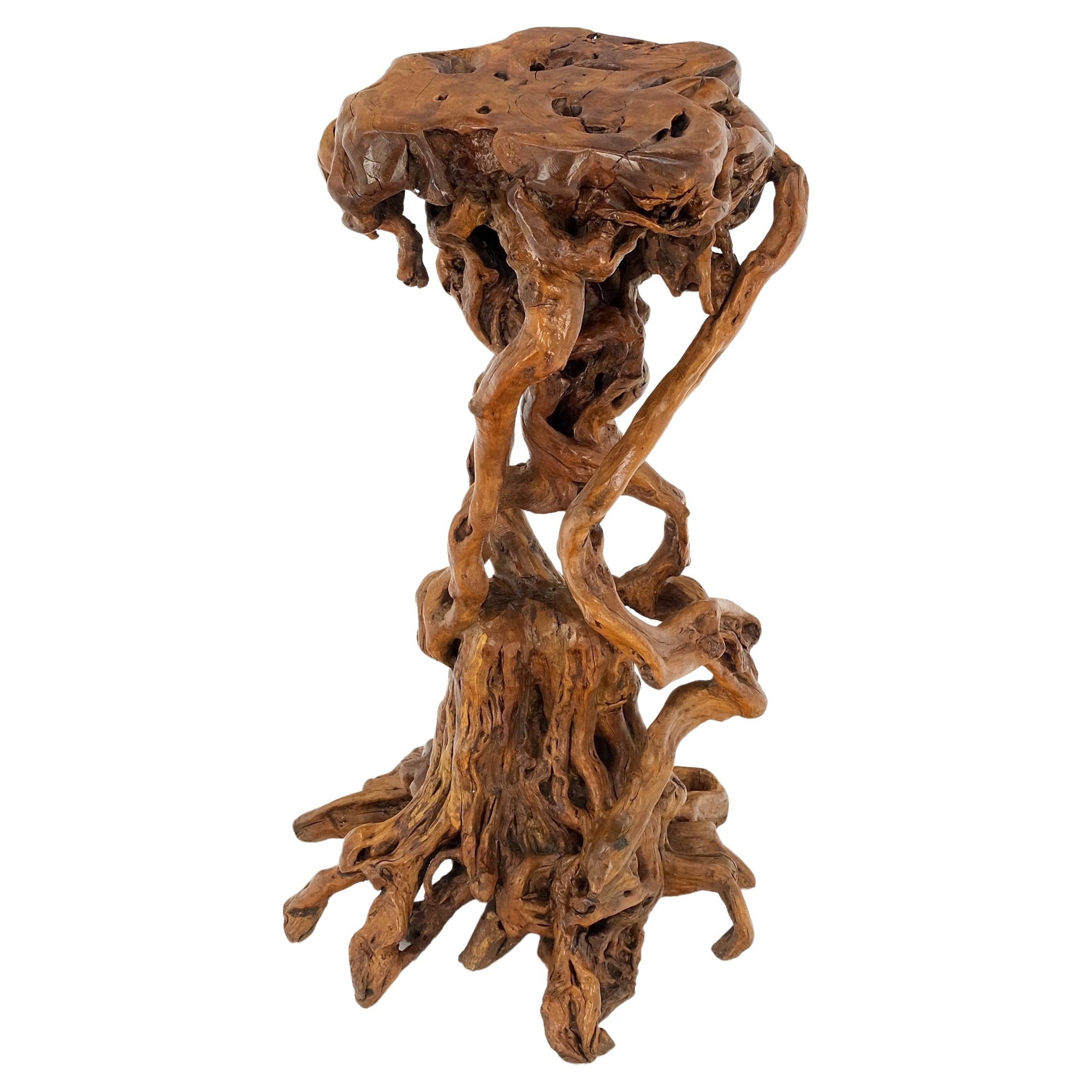 EstablishedLines Varnished Driftwood Root Natural Organic Wood Pedestal Side End Table Stand Nice
