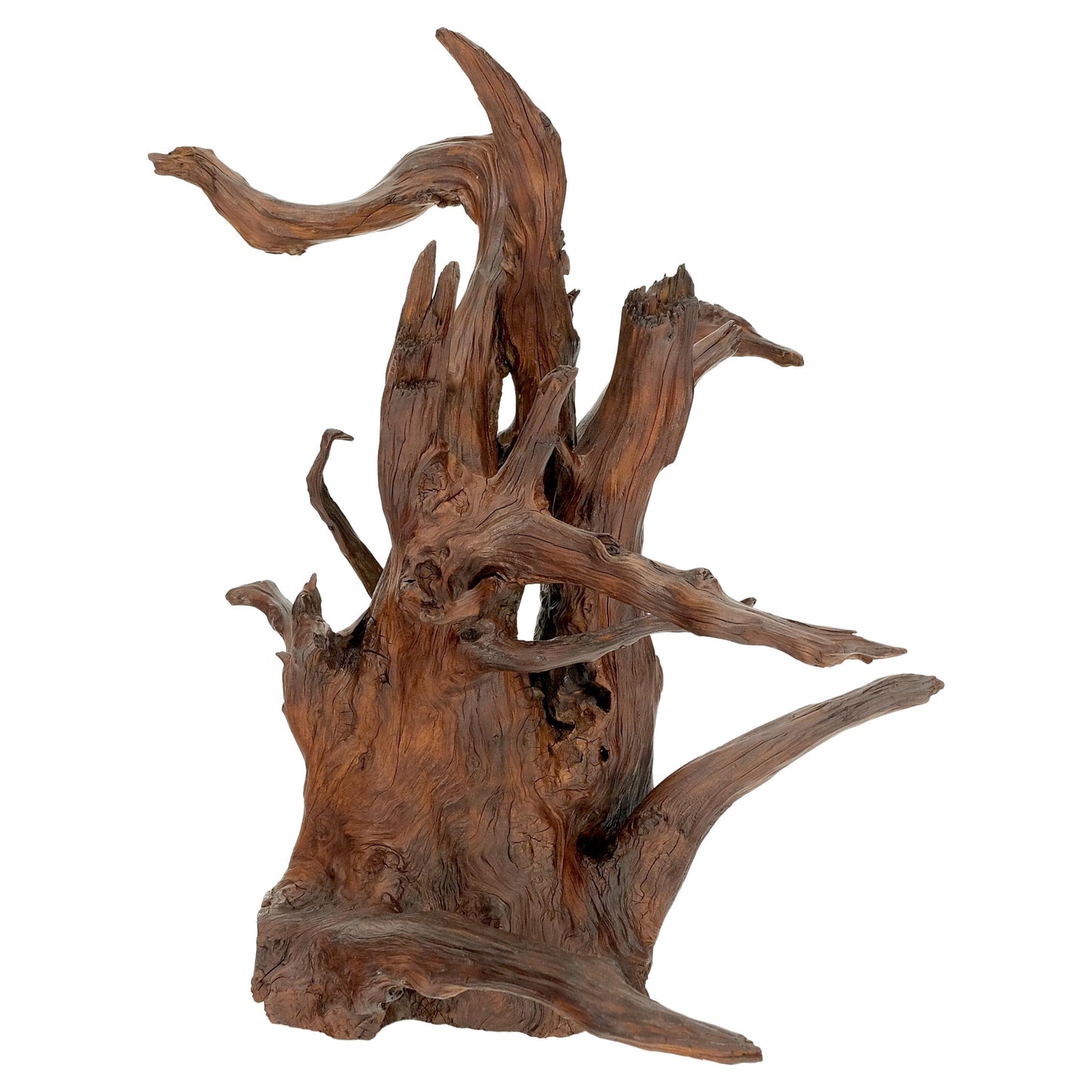 Solid Driftwood Root Sculpture Organic Jewerly Display Nice Patina & Shape Mint!