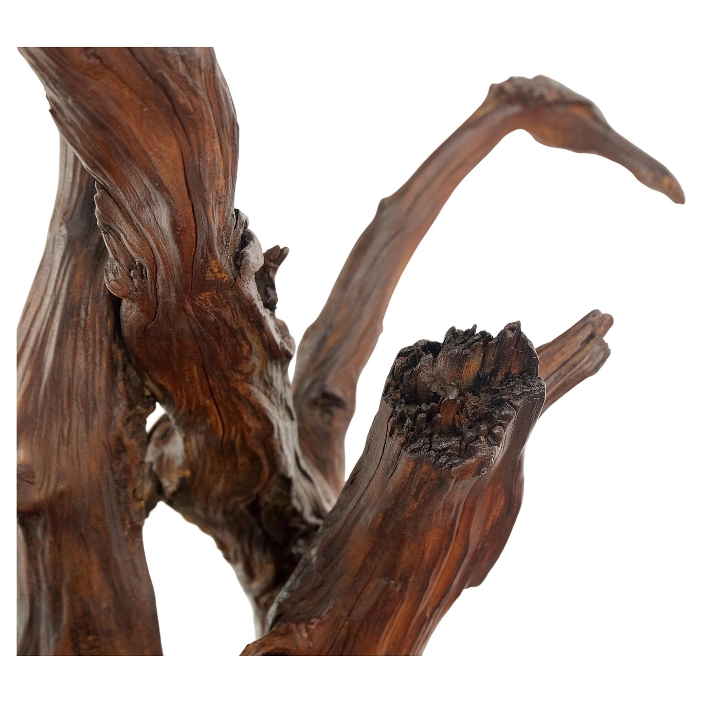 Solid Driftwood Root Sculpture Organic Jewerly Display Nice Patina & Shape Mint!