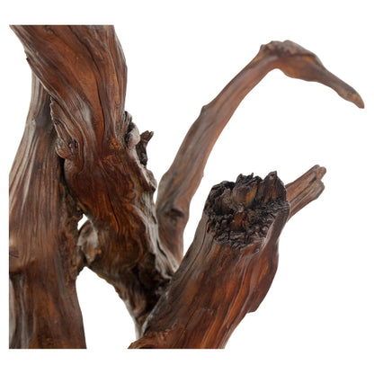 Solid Driftwood Root Sculpture Organic Jewerly Display Nice Patina & Shape Mint!