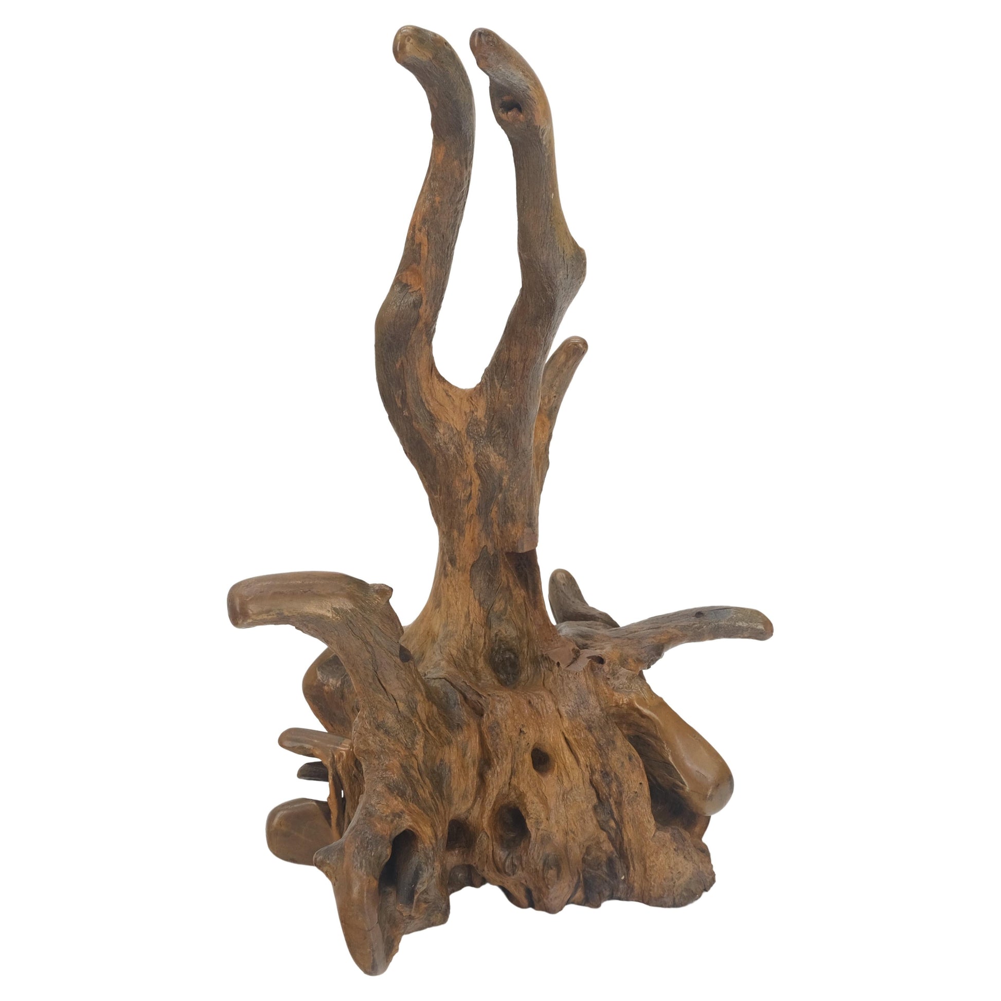 EstablishedLines Large 25" Tall Artist Signed Driftwood Root Burl Wood Natural Sculpture NICE!