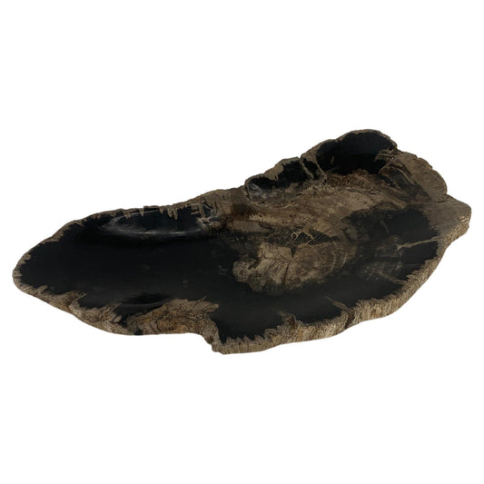 Petrified Wood Oyster Shape Black & Tan Elongated Bowl Dish Large Plate Ashtray