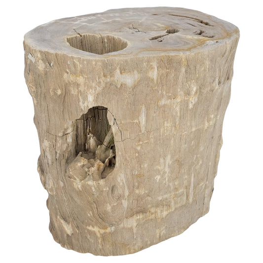 EstablishedLines Large Beige Petrified Wood Organic Stomp Shape Stand End Side Table Pedestal