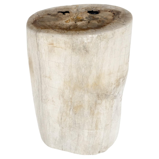 Large Beige Petrified Wood Organic Stomp Shape Stand End Side Table Pedestal