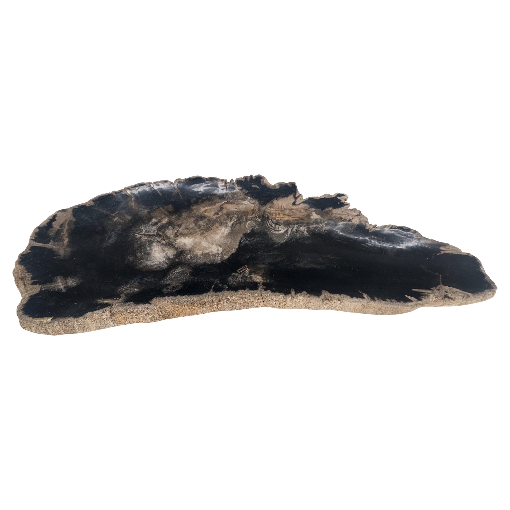 EstablishedLines Organic Elongated Black & Tan Petrified Wood Tray Bowl Dish Plate Ashtray MINT