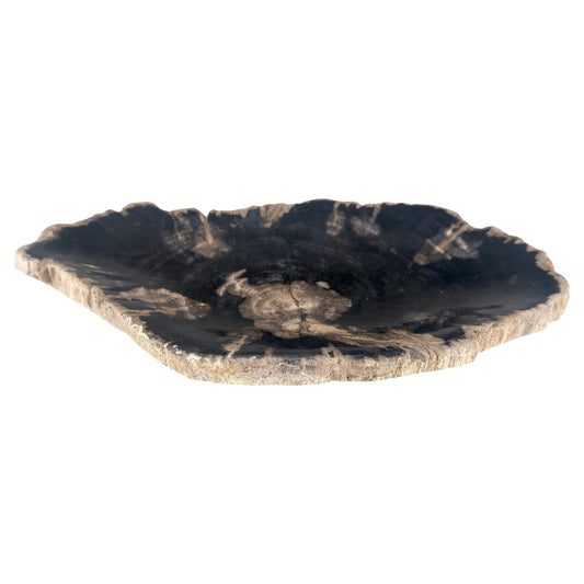 EstablishedLines Organic Brain Shape Black & Tan Petrified Wood Tray Bowl Dish Plate Ashtray