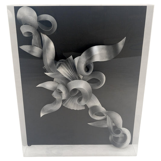 EstablishedLines Showcased 3D Abstract Signed Greg Copeland Paper Sculpture Rectangular Wall Art