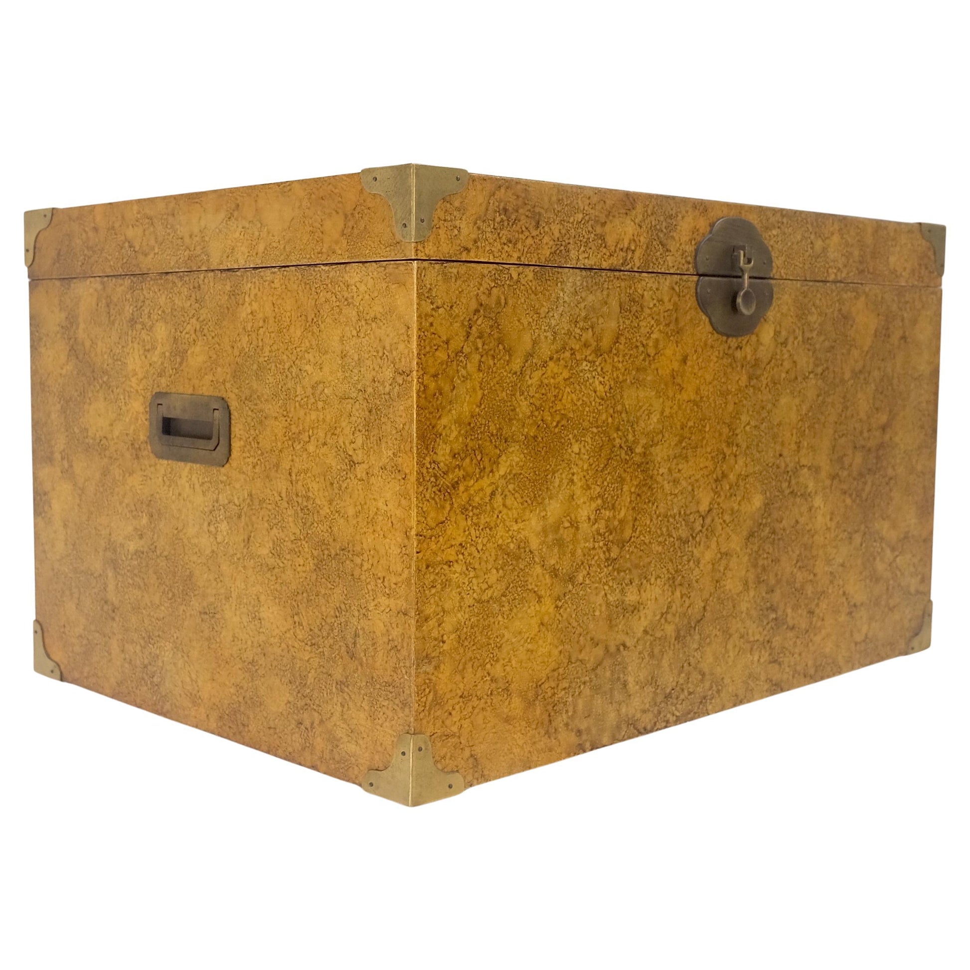 EstablishedLines Faux Tortoise Finish Hand Painted Decorated Campaign Style Trunk Box MINT