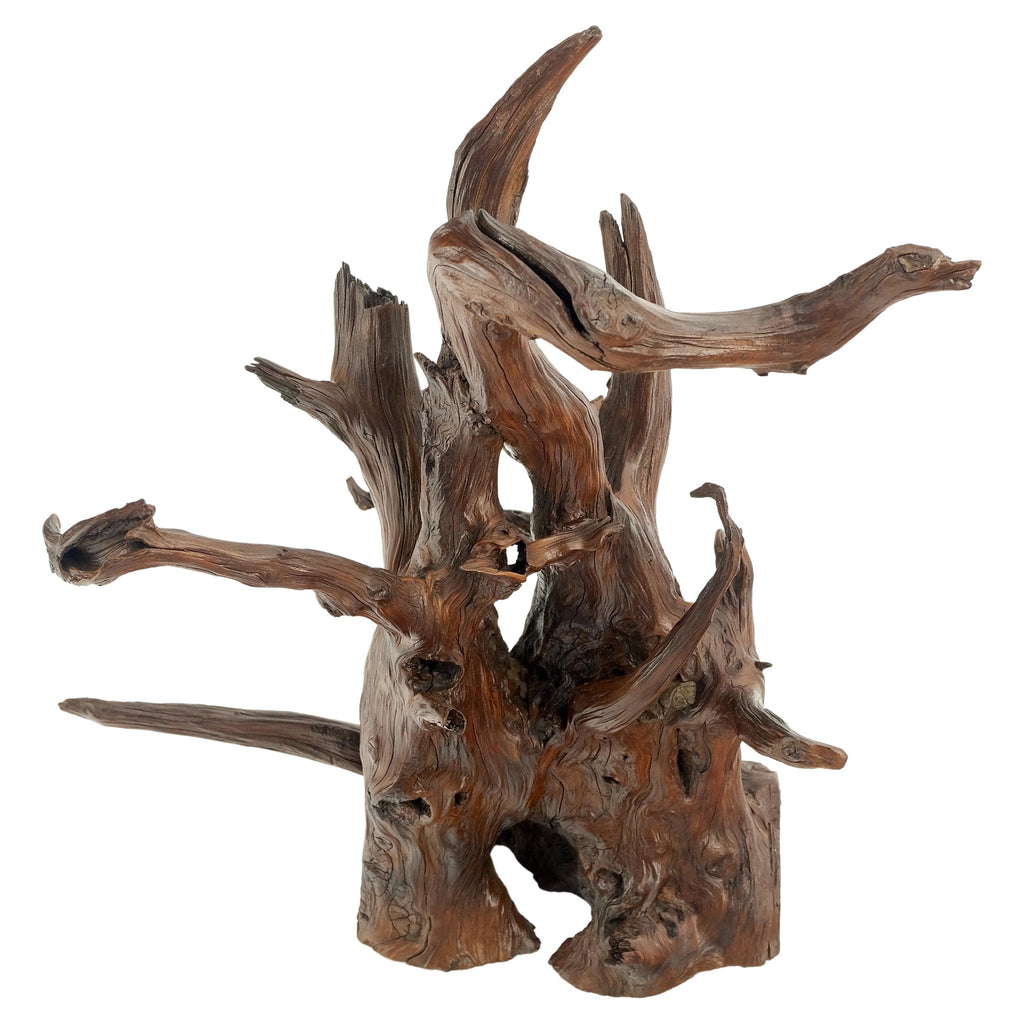Solid Driftwood Root Sculpture Organic Jewerly Display Nice Patina & Shape Mint!