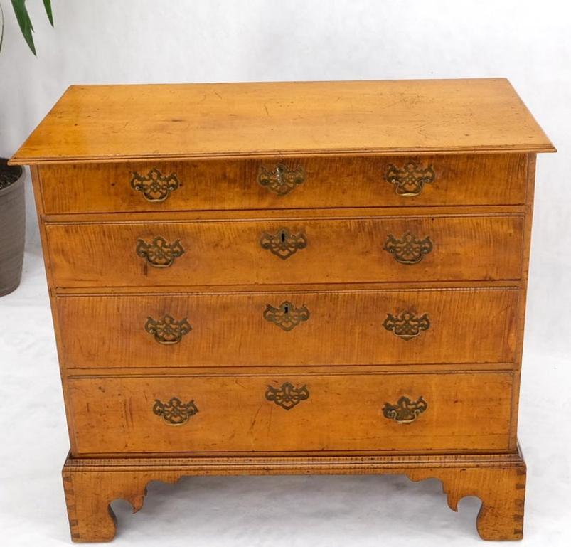 Antique 1880s Tiger Maple Chippendale Style Bachelor Chest Drawers Dresser